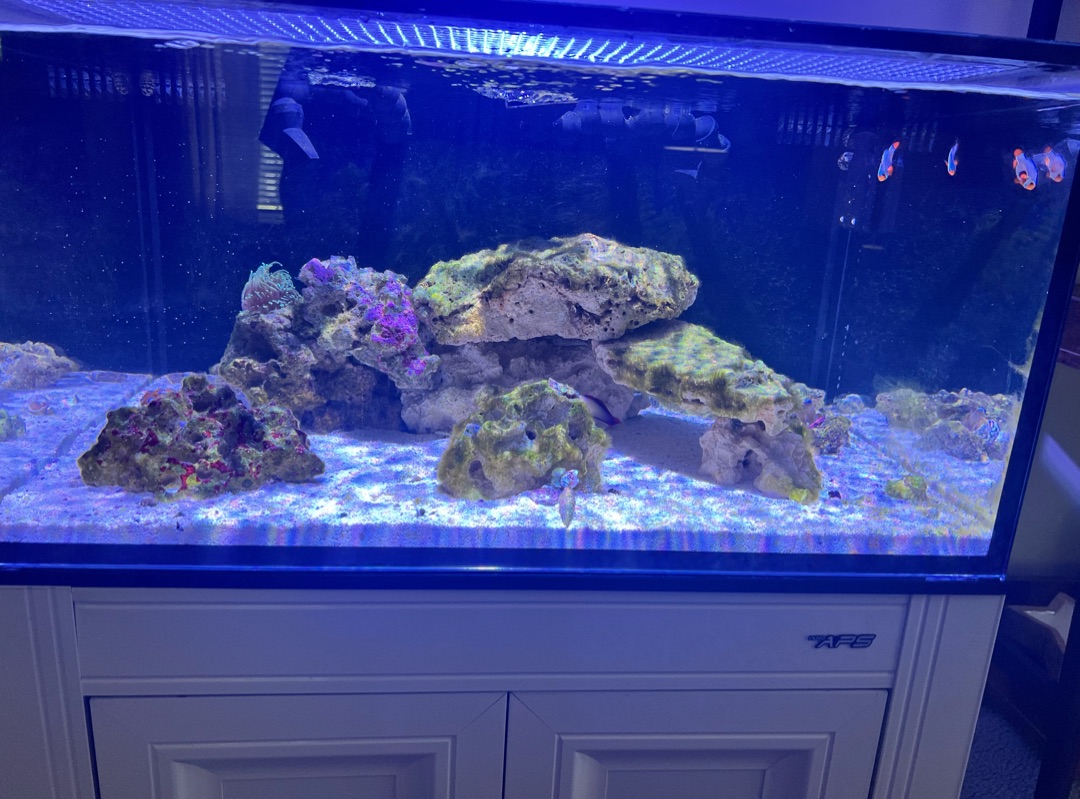 Tank Image
