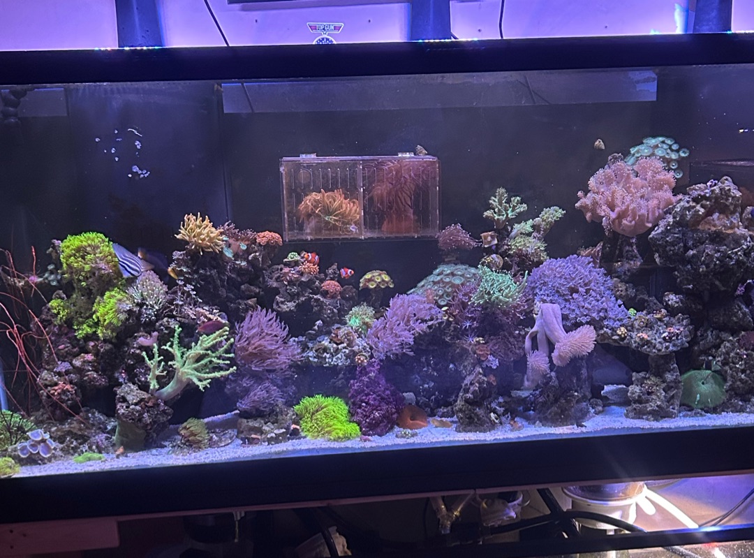 Tank Image
