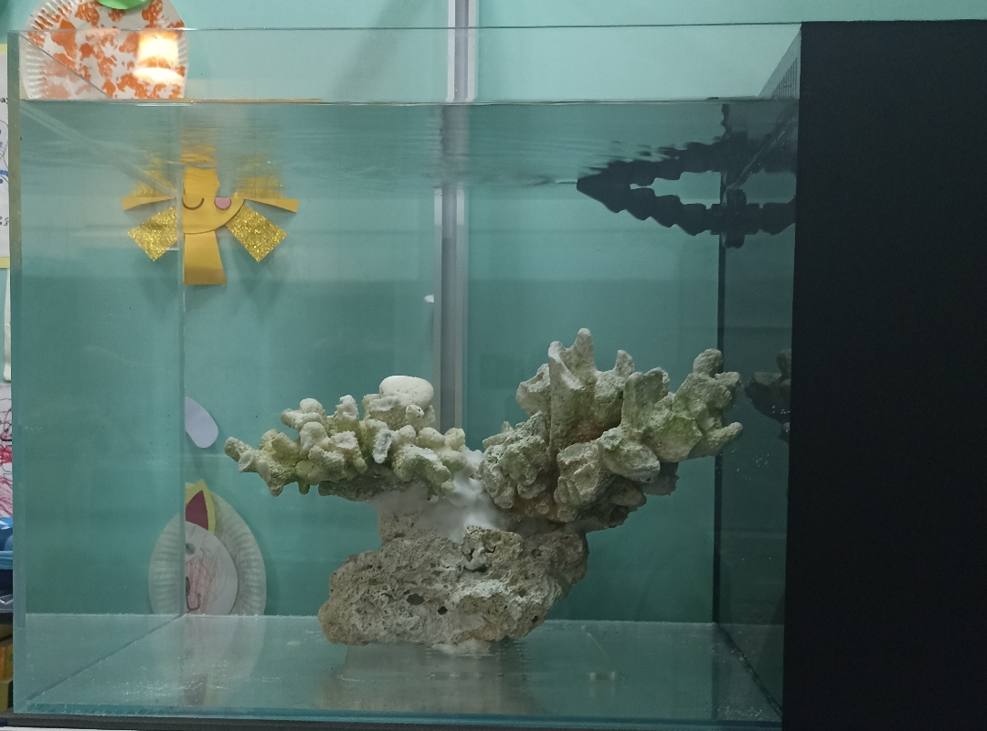 Tank Image