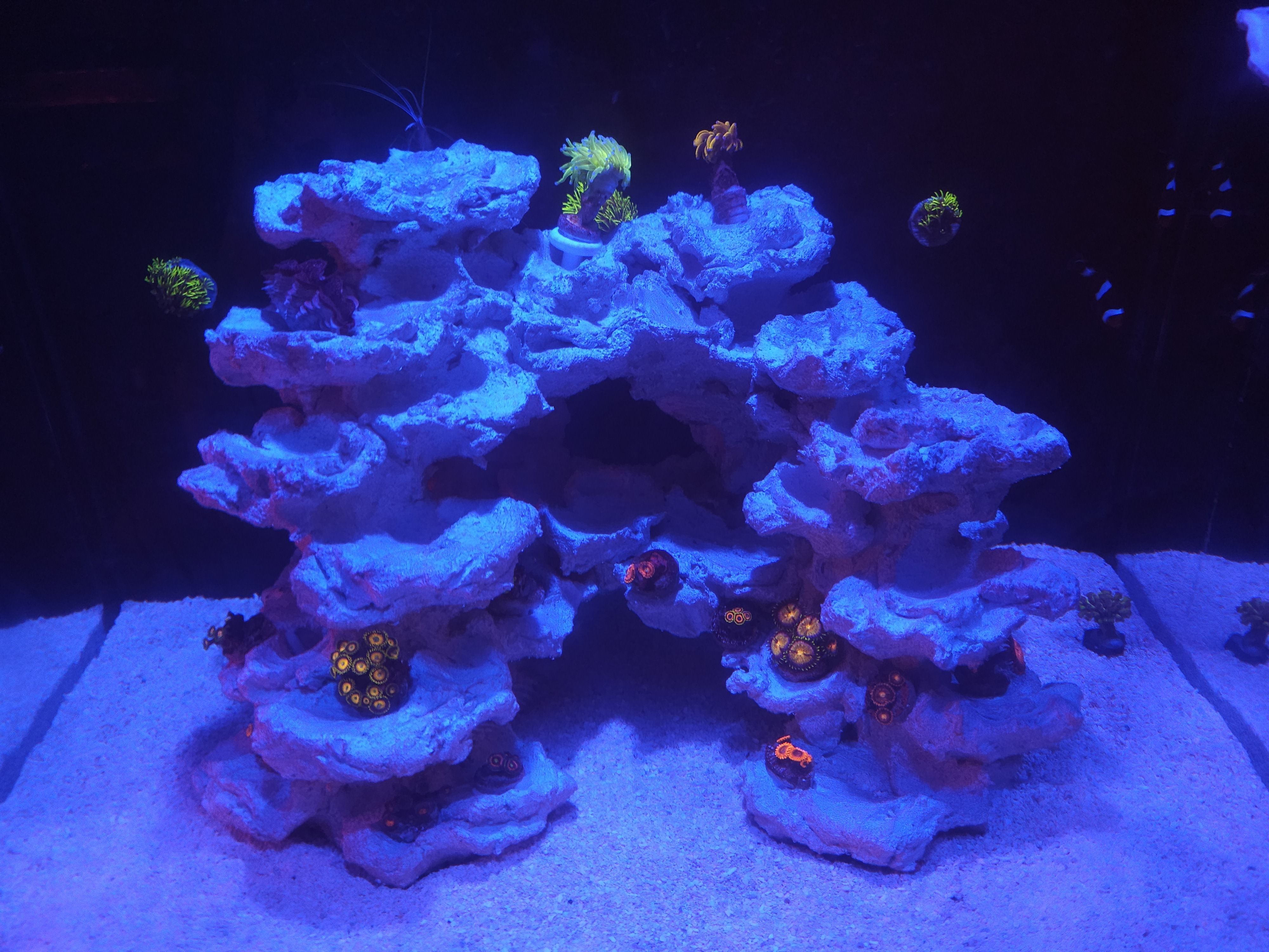 Tank Image