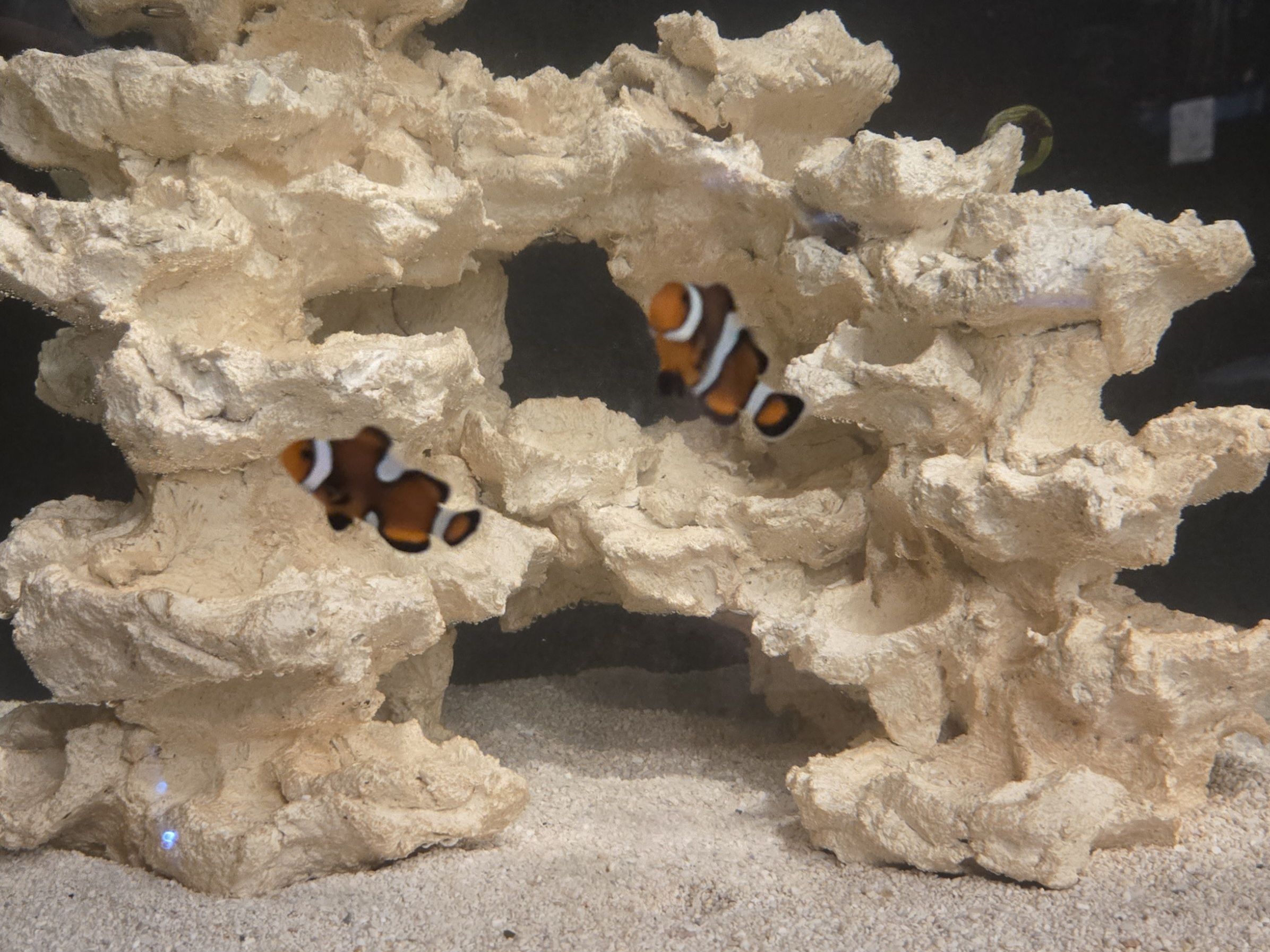 Tank Image