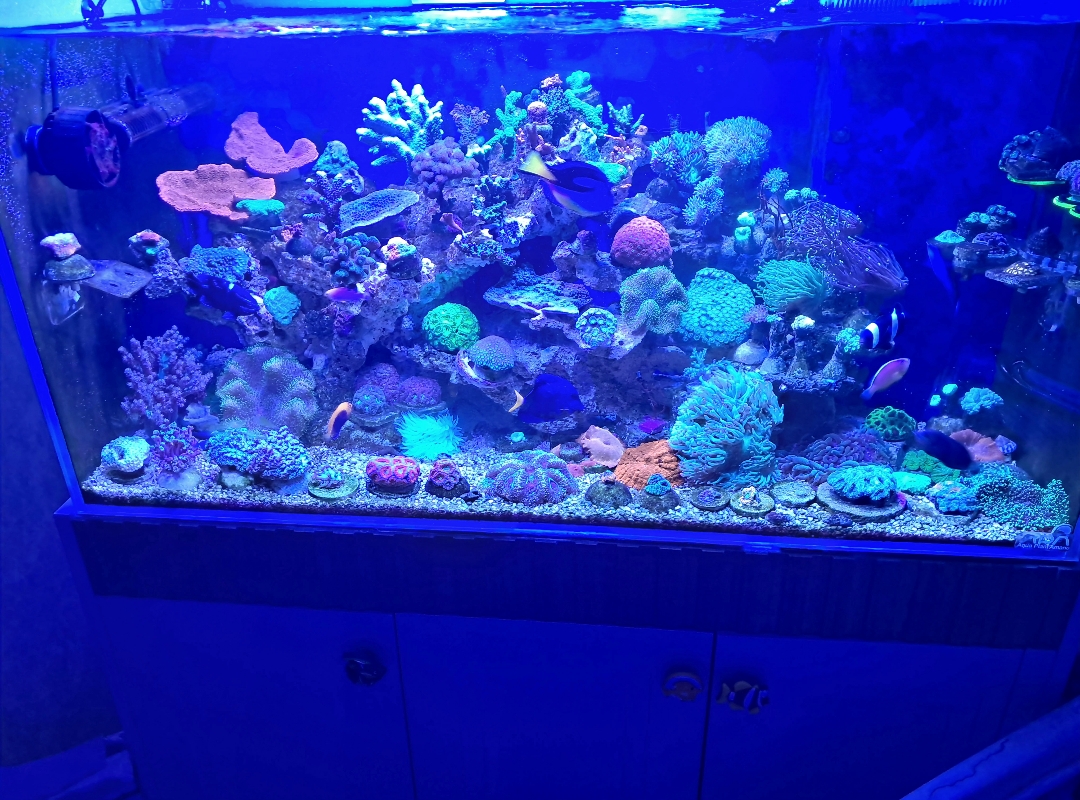 Tank Image