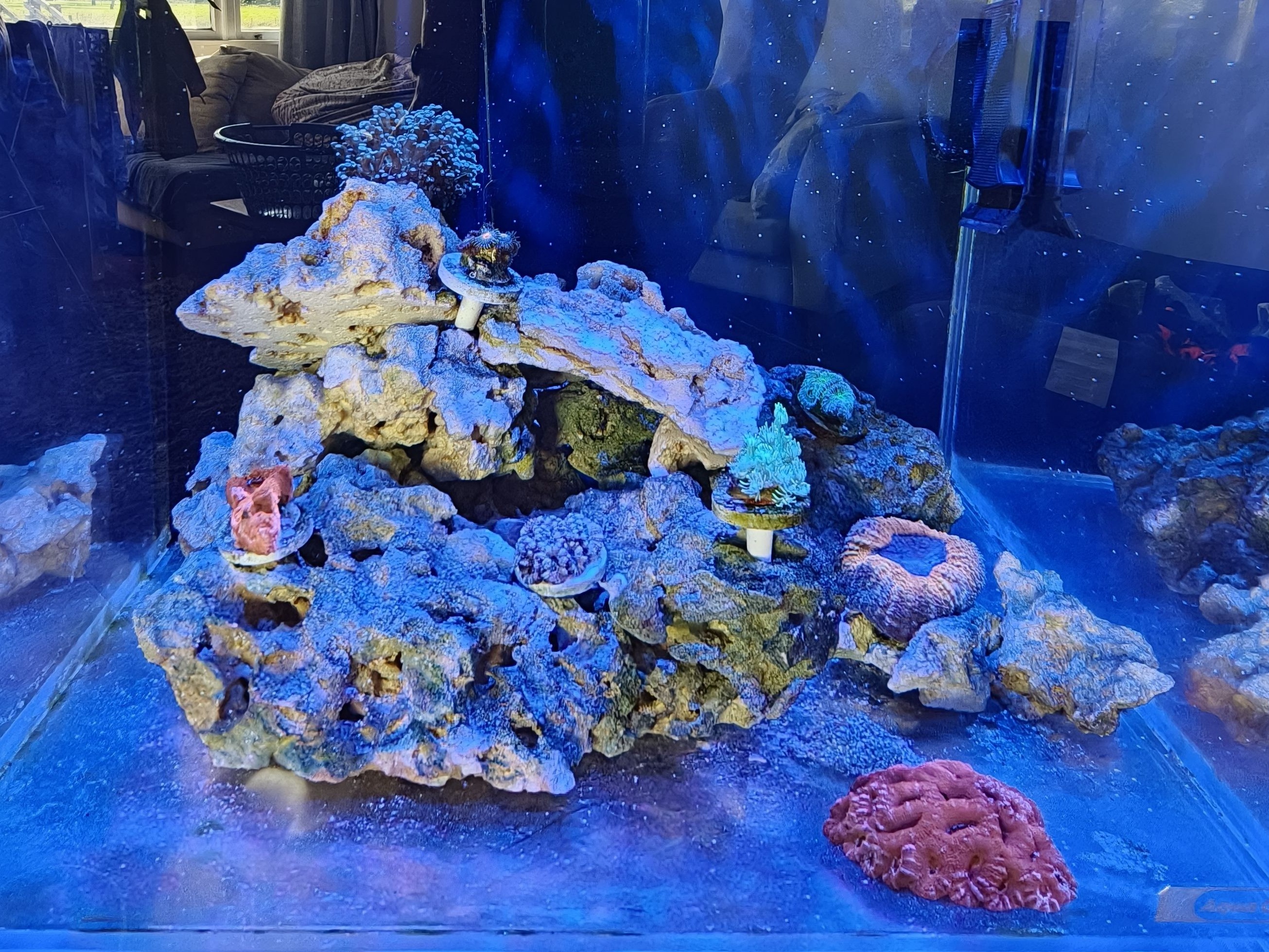 Tank Image