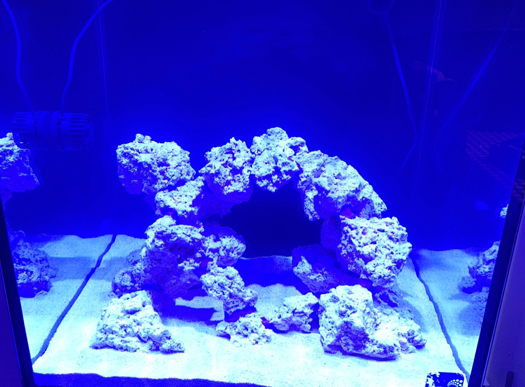 Tank Image