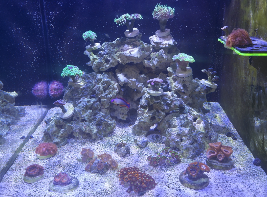 Tank Image
