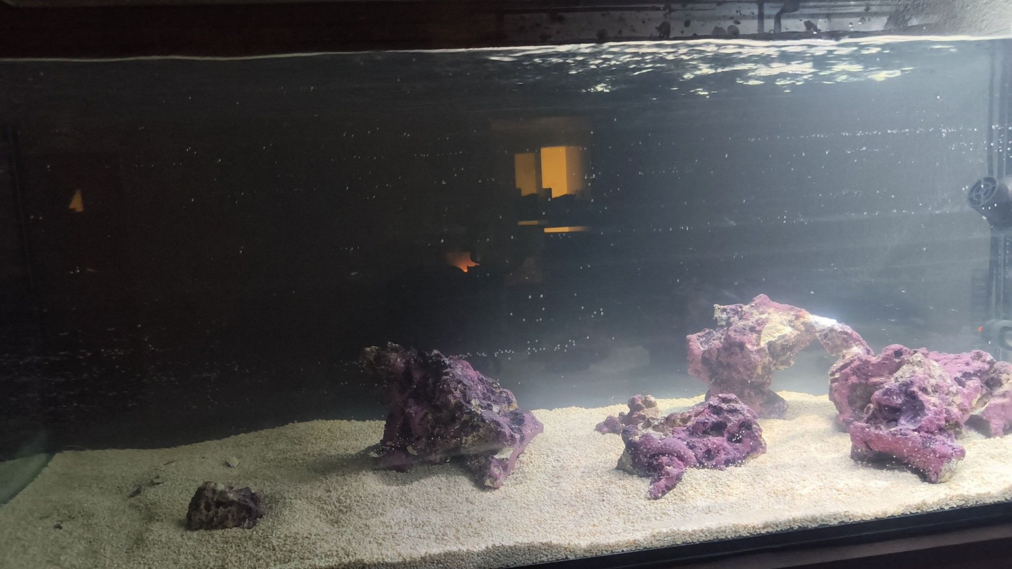 New reef tank filled with live rock and sand ready for cycling