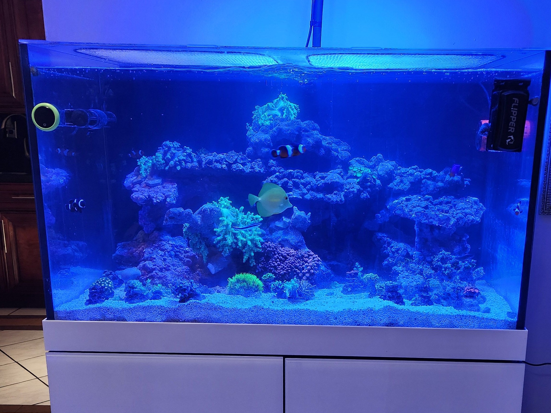 Tank Image