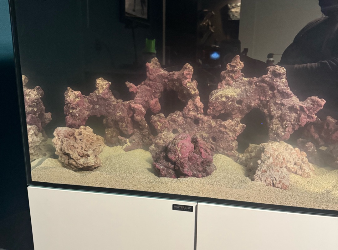 Tank Image