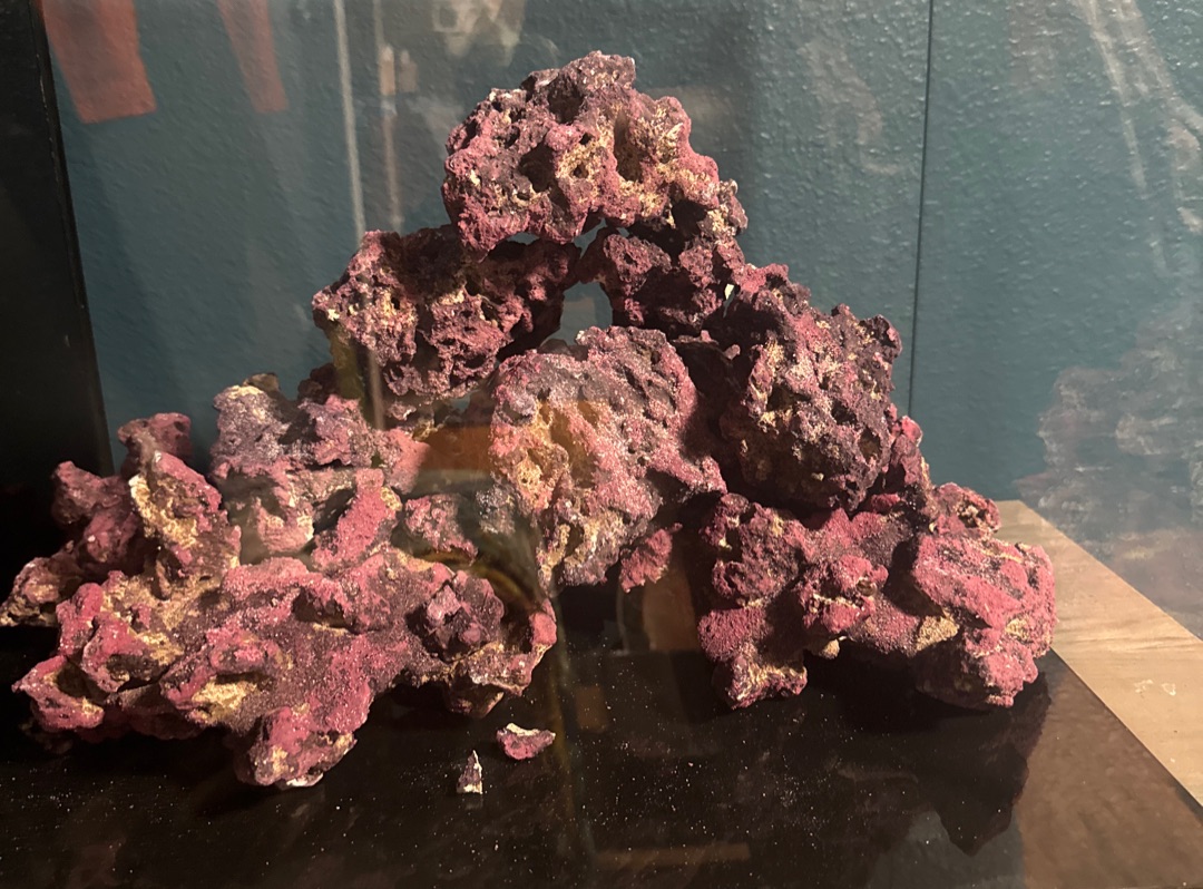 Tank Image