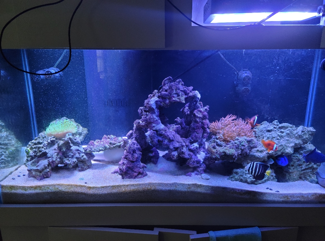 Tank Image