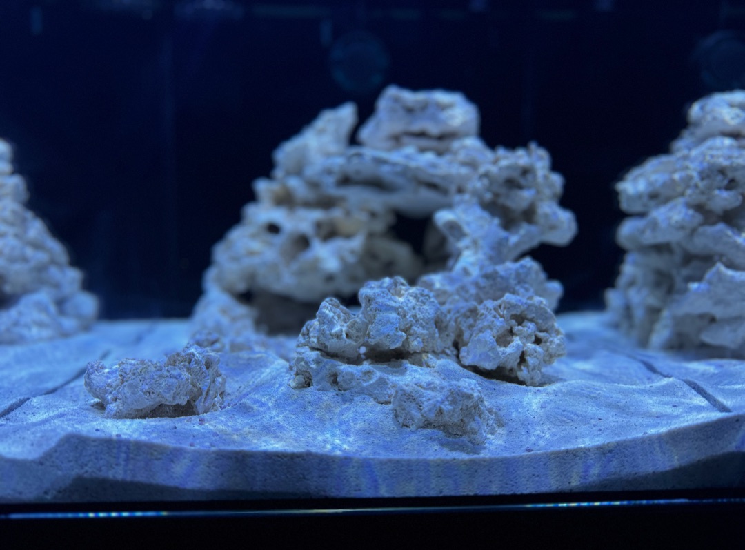 Tank Image