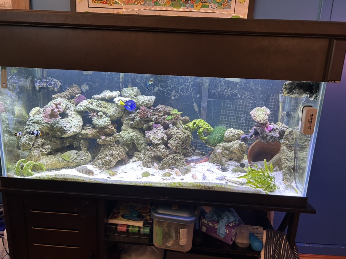 Tank Image