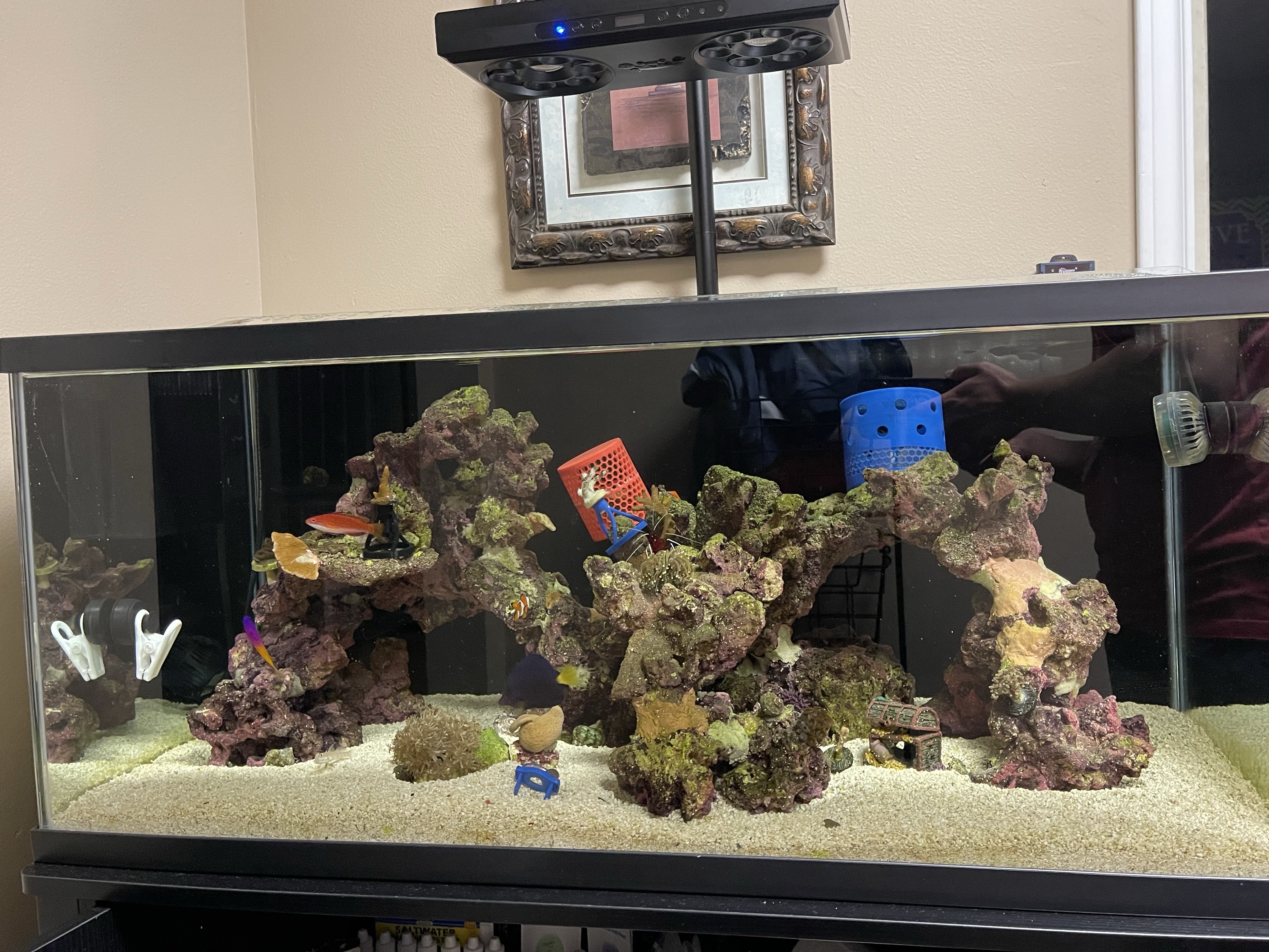 Tank Image