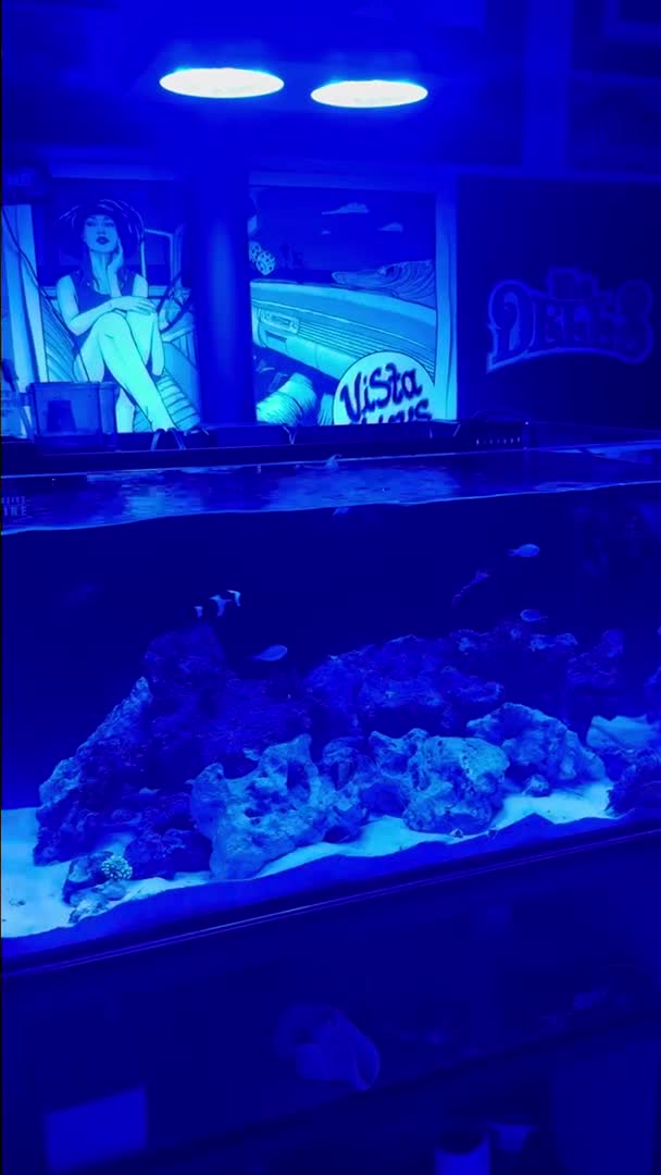 Lots of fun going on after water change Sundays always bringing joy 🤩