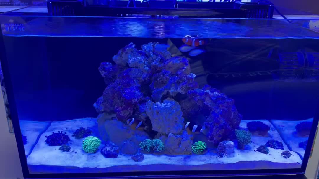 Water change to keep steady levels ,25% change every Sunday in my 20 gallon innovative mar...