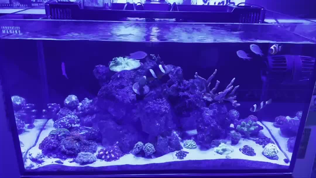 ReefBay post