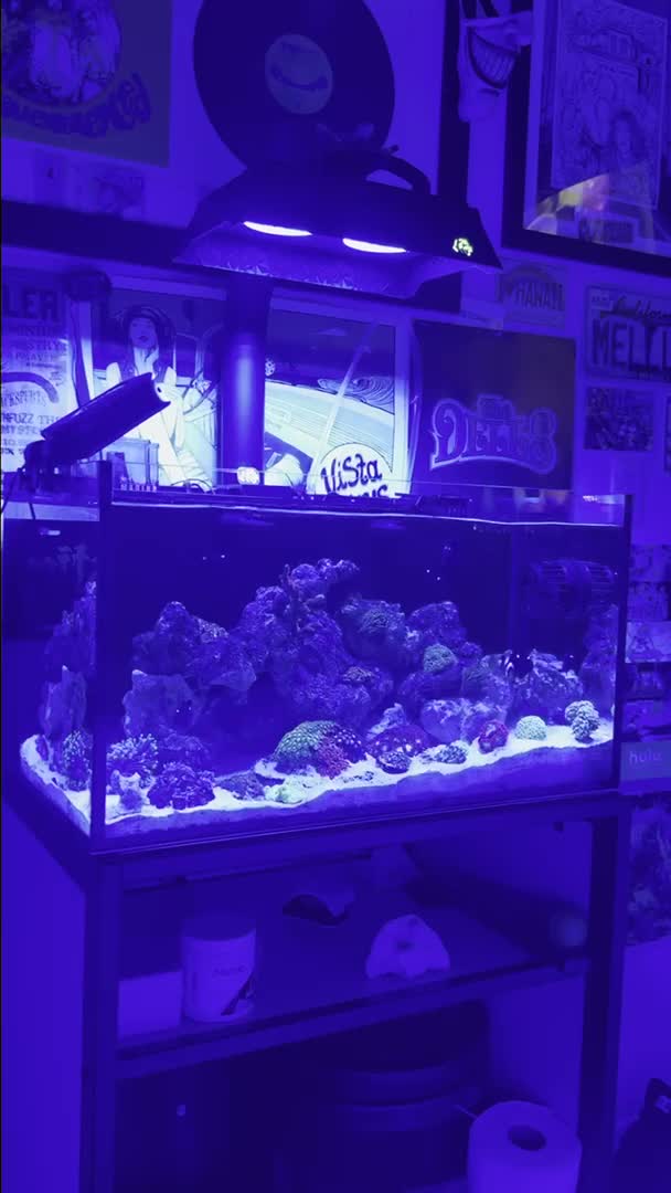 Sunday funday water change 40%