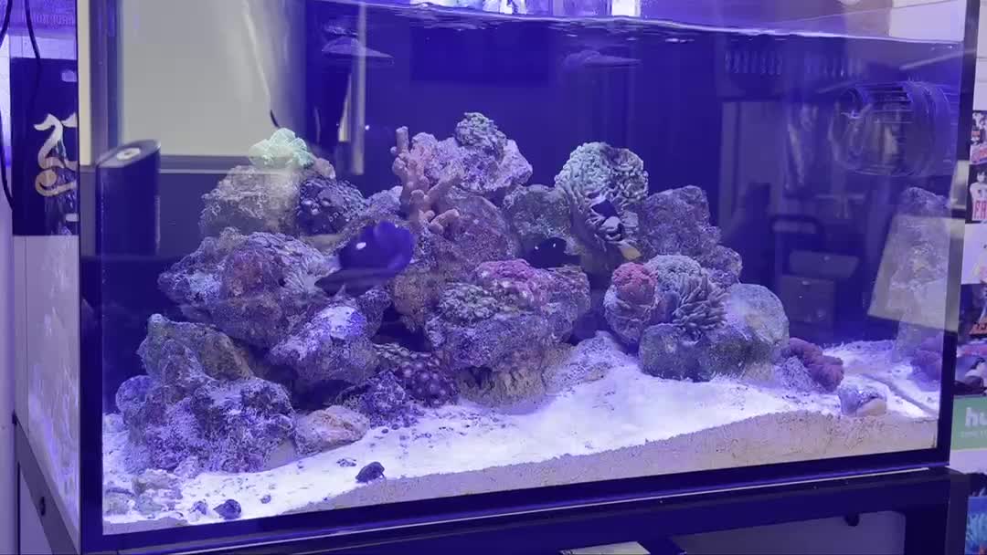 ReefBay post