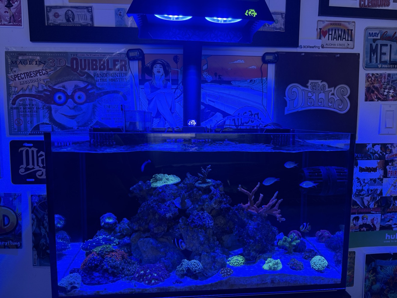 Tank Image