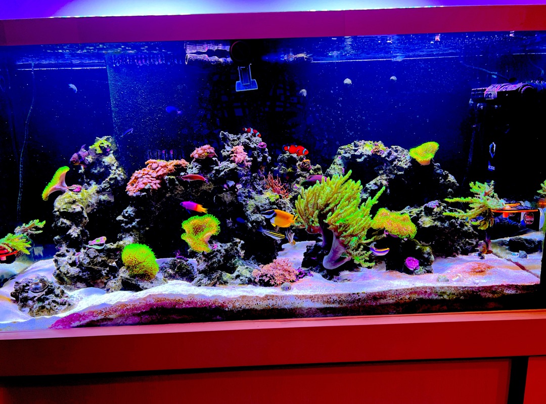 Tank Image