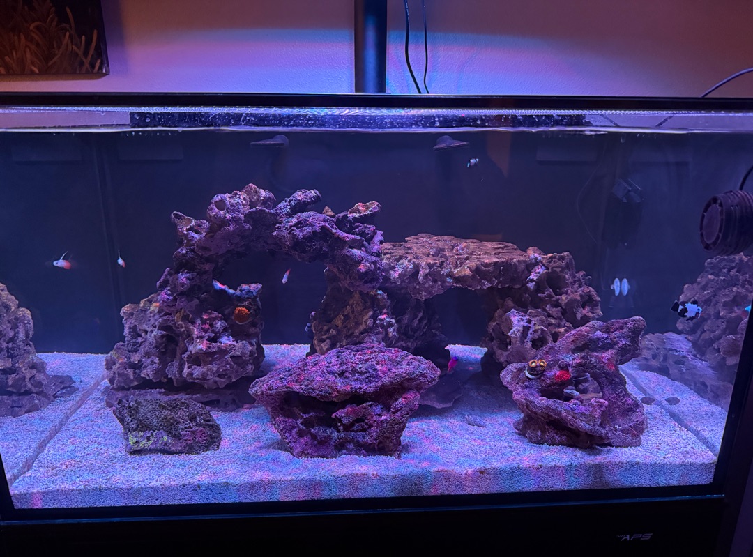 Tank Image