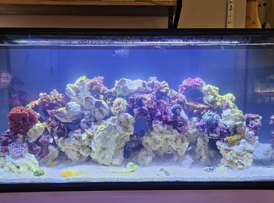 Tank Image