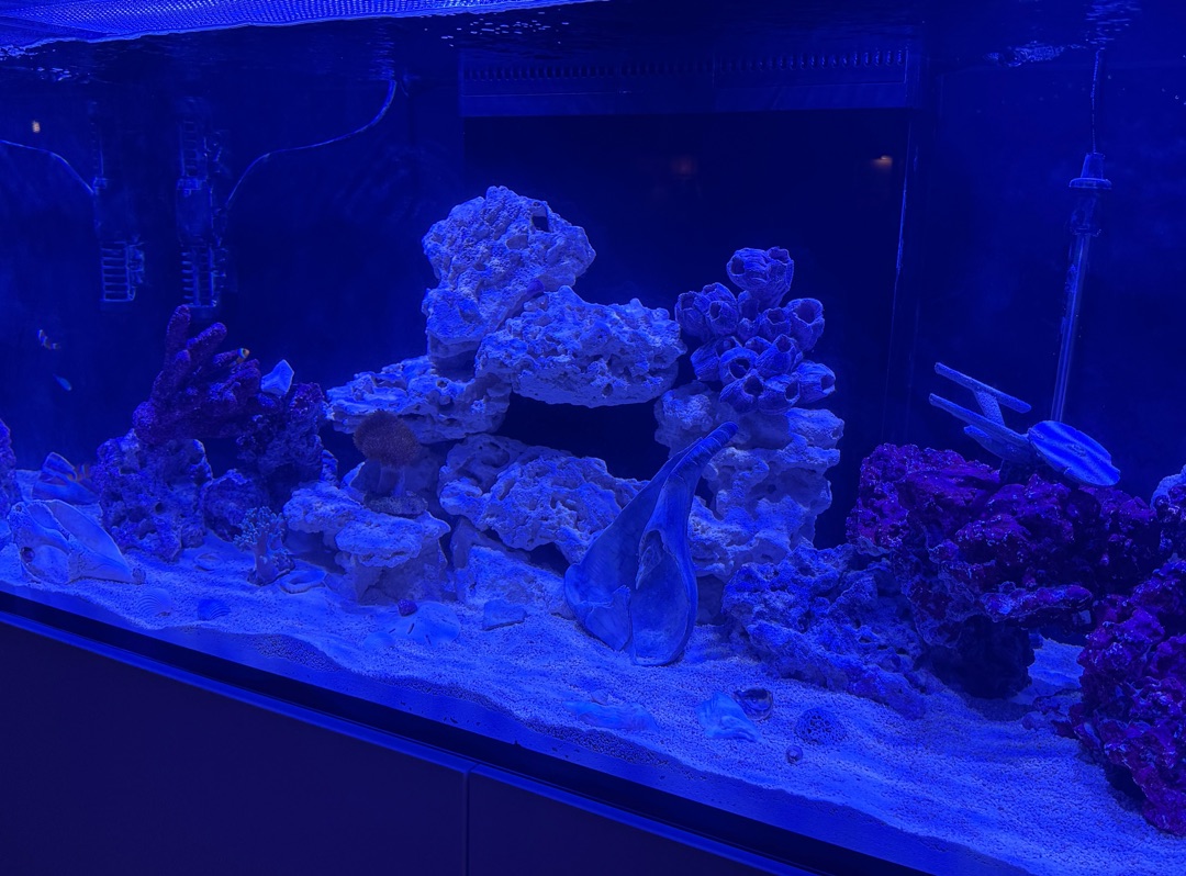 Tank Image