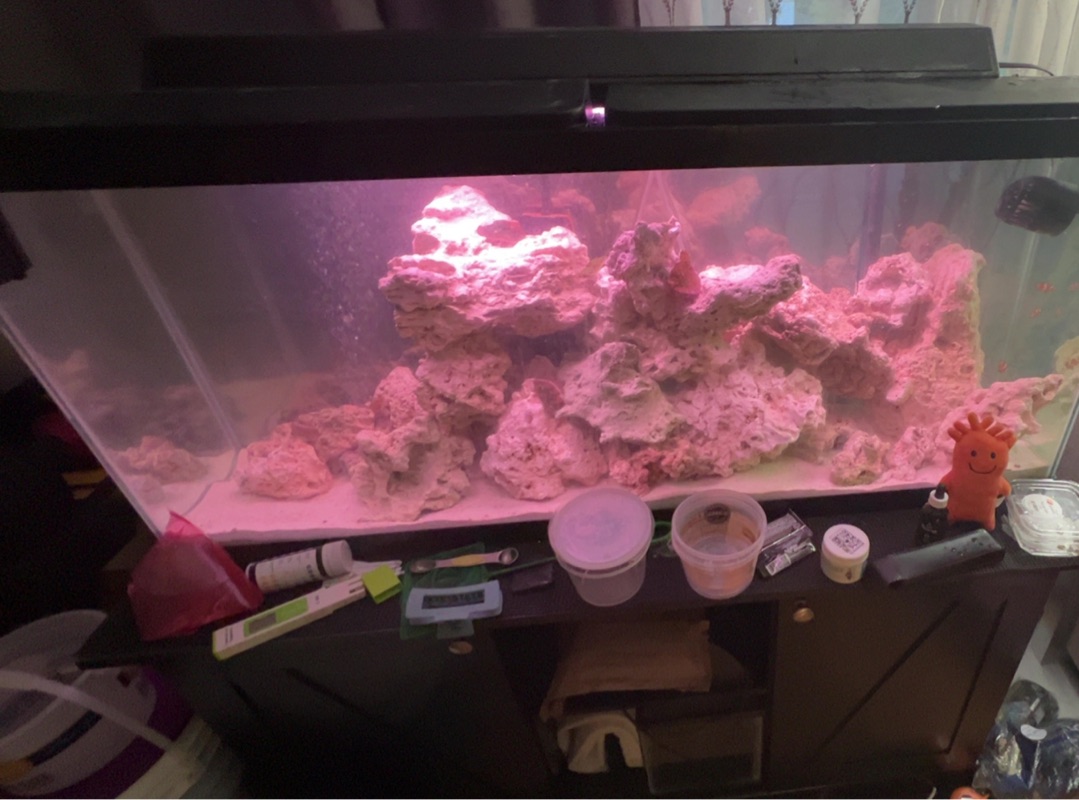 Tank Image