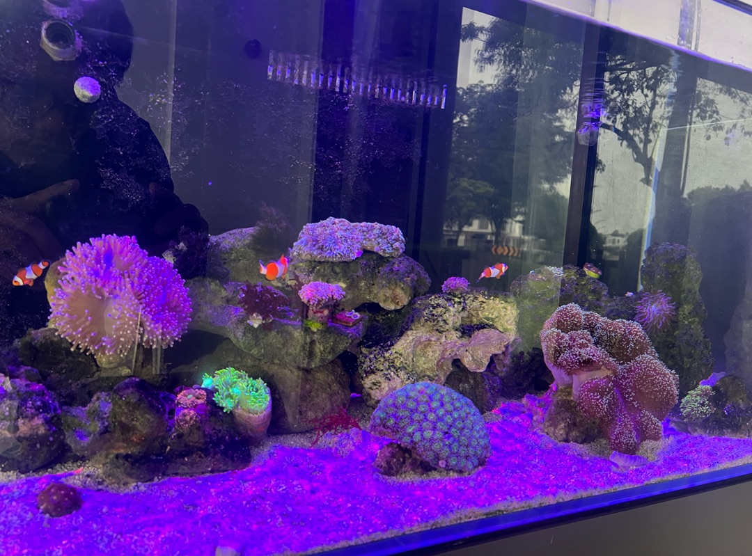 Tank Image