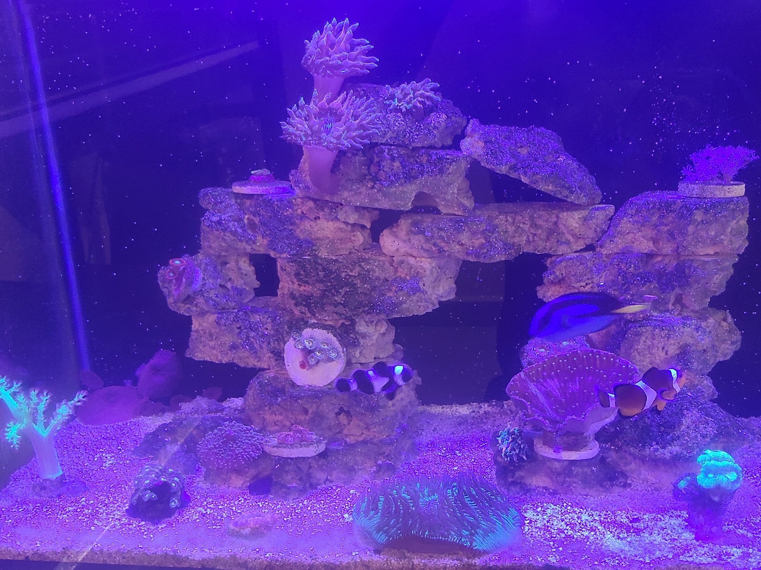 Tank Image