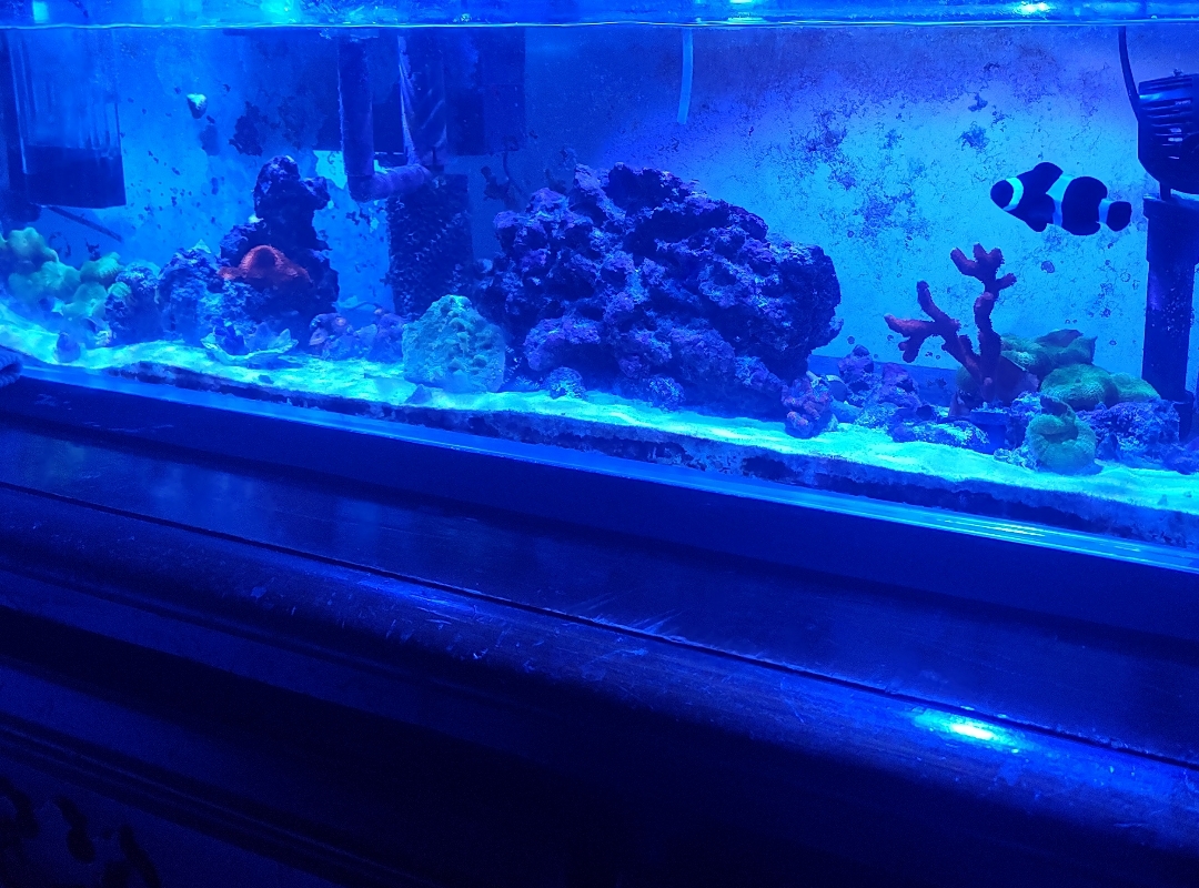 Tank Image