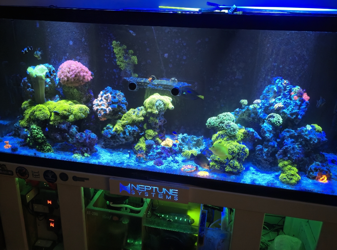 Tank Image