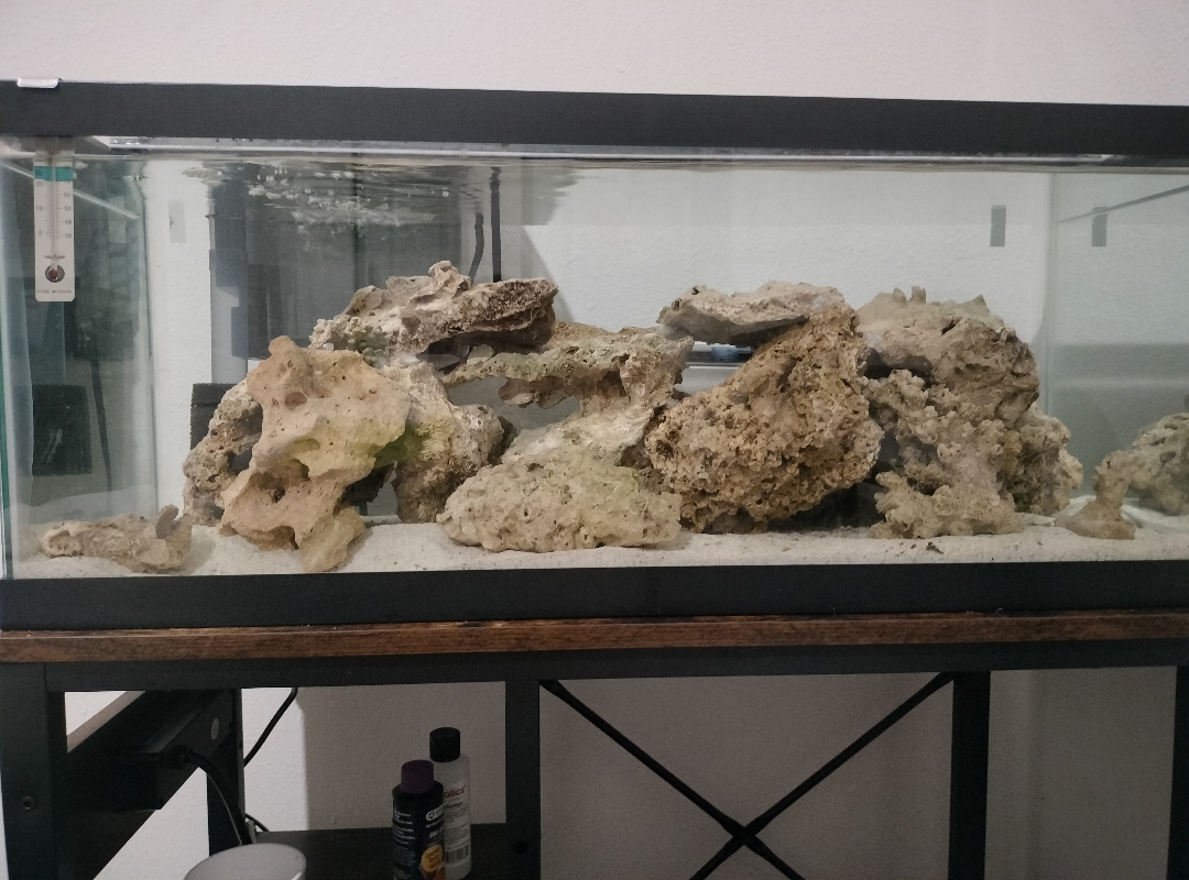Tank Image