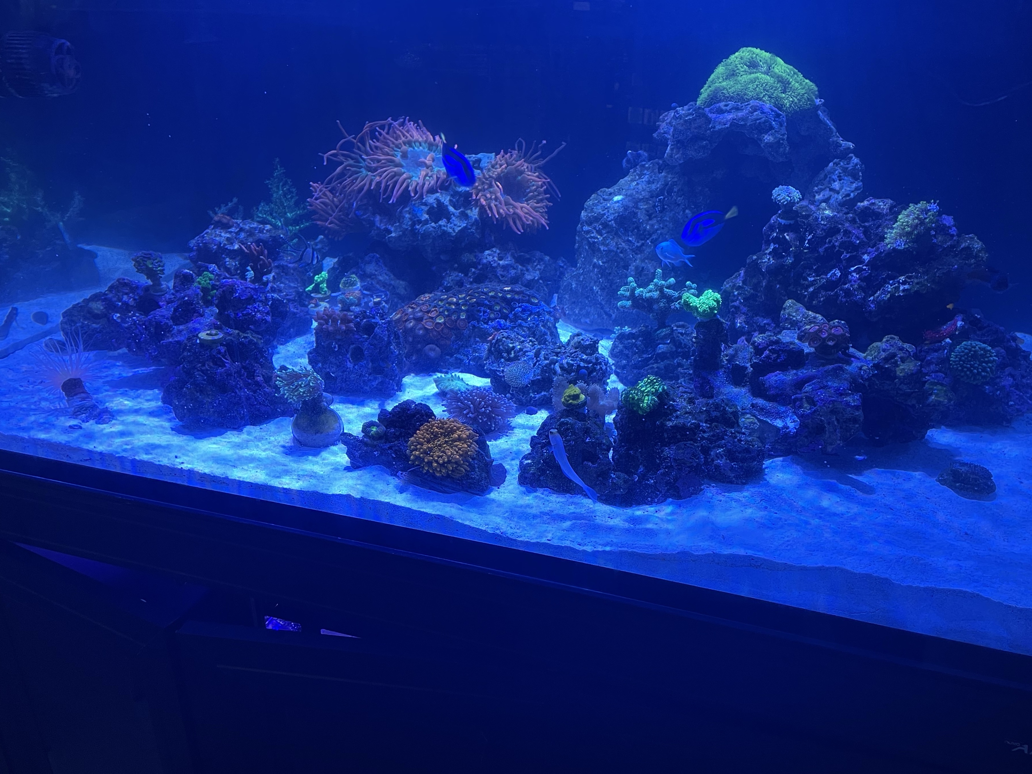 Tank Image