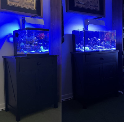 big_20L