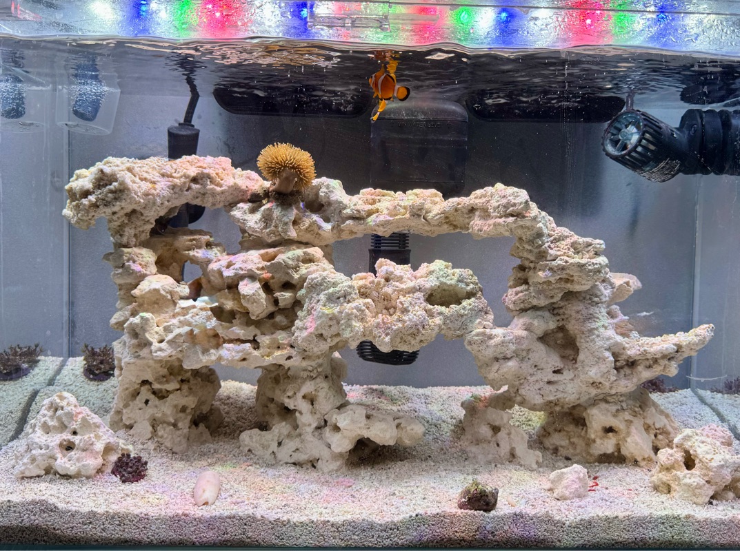 Tank Image