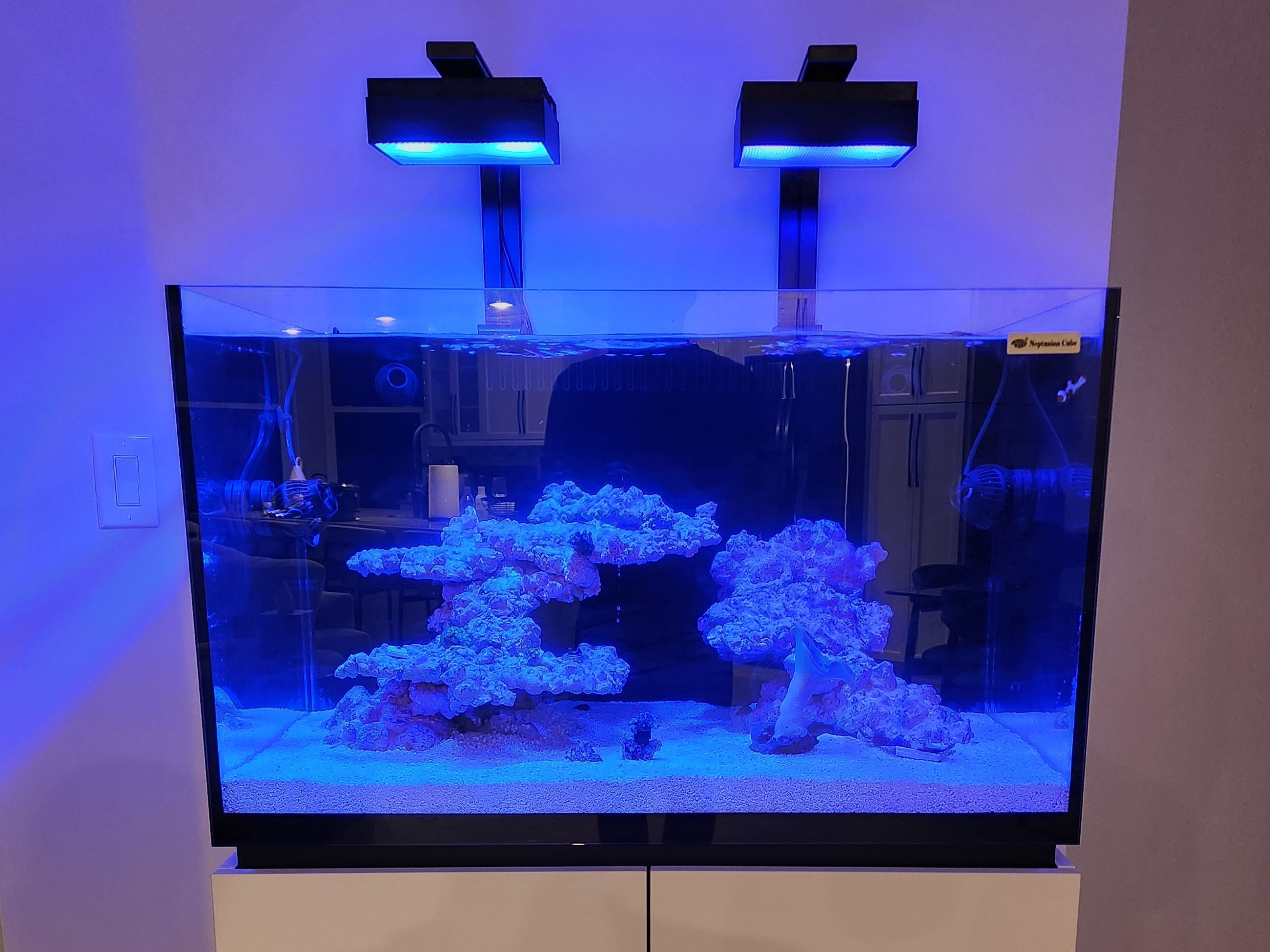 Tank Image