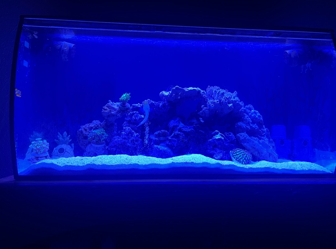Tank Image