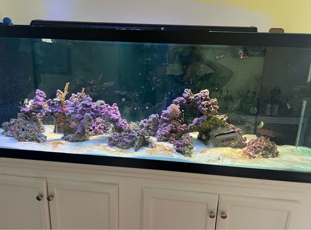 Tank Image