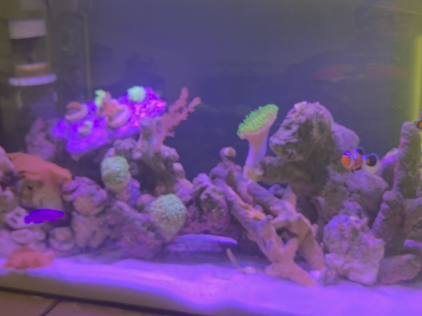 Tank Image