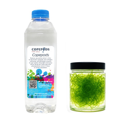 Refugium Starter Kit 32oz Copepods 3 Species Mix, 1 Cup Clean Chaeto