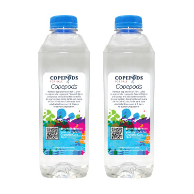 1/2 Gal Copepods – With phyto in bottle, 5 Species!