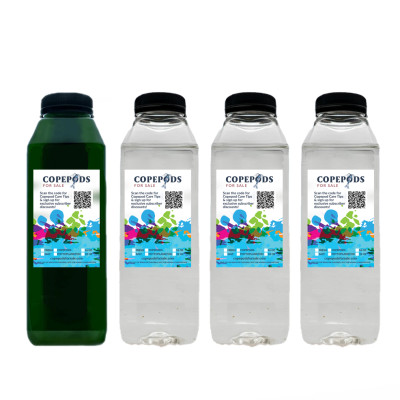 3 Bottles Of Copepods TISBE