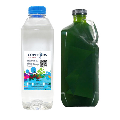 32 oz 5-Species Copepod Culture + 32 oz Phytoplankton Blend – Free Fast Shipping