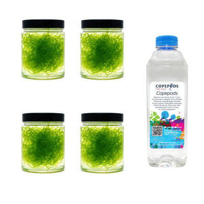 4 Cups Clean Chaeto & 32oz 5‑Species Copepod Blend – Ultimate Refugium Starter Kit