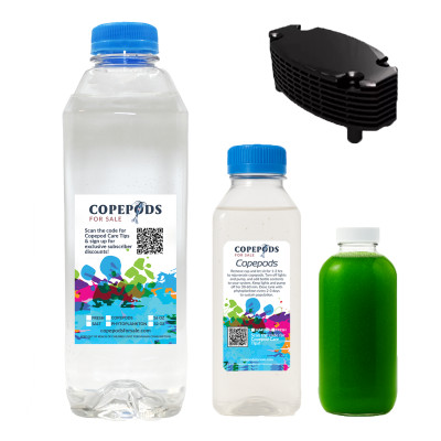 Mandarin Starter Kit – 32oz Mandarin Mix + XL Tig Pods + Phytoplankton + Pod Hotel