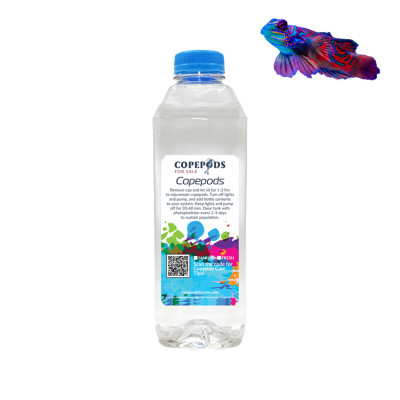 Mandarin Goby Copepod Mix | 5 Species Blend (Tig, Tisbe, Apo, Oithona, Euterpina)