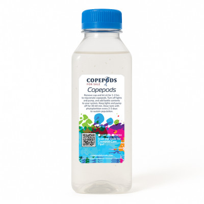 XL Copepods 8oz | Extra-Large Tigriopus Feeder Pods