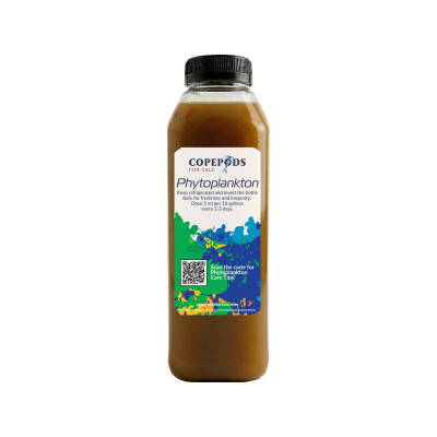 Isochrysis Phytoplankton (T-ISO) – 32oz Culture | DHA-Rich Reef Superfood
