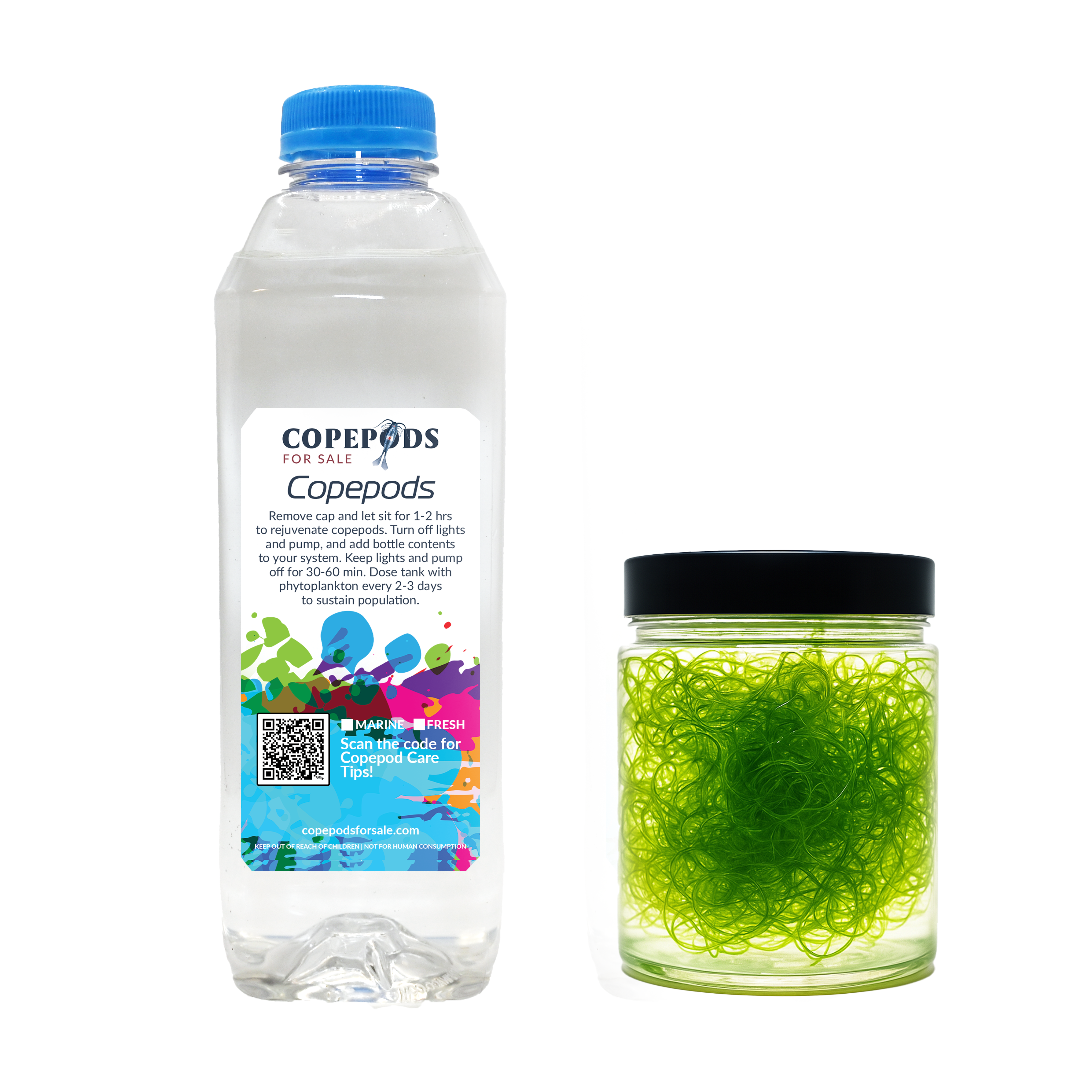 Refugium starter kit with chaetomorpha algae and copepods